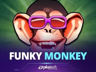 Funky Monkey screenshot